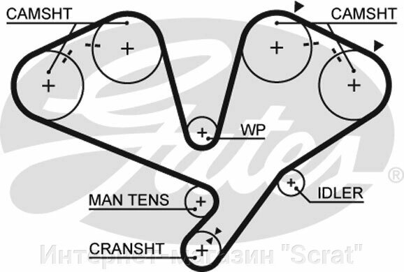 Ремень ГРМ GATES   5442XS (T253) от компании Интернет-магазин "Scrat" - фото 1