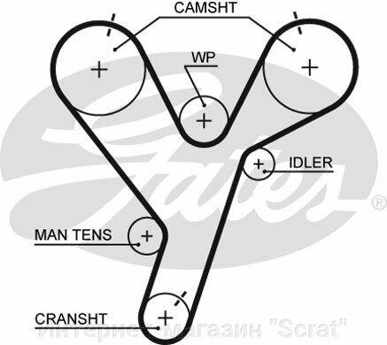 Ремень ГРМ GATES   5446XS (T259) от компании Интернет-магазин "Scrat" - фото 1