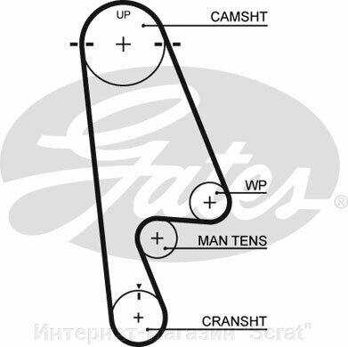 Ремень ГРМ GATES   5480XS (T244) от компании Интернет-магазин "Scrat" - фото 1