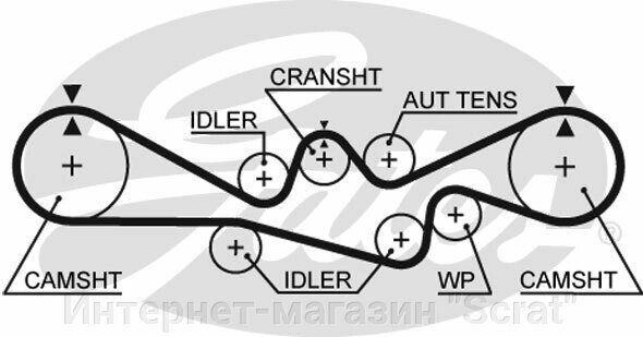 Ремень ГРМ GATES   5537XS (T304) от компании Интернет-магазин "Scrat" - фото 1