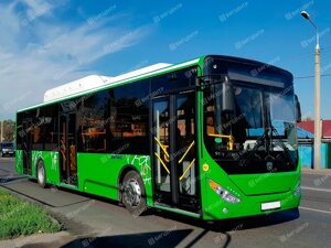 Автобус zhongtong LCK6125HGC