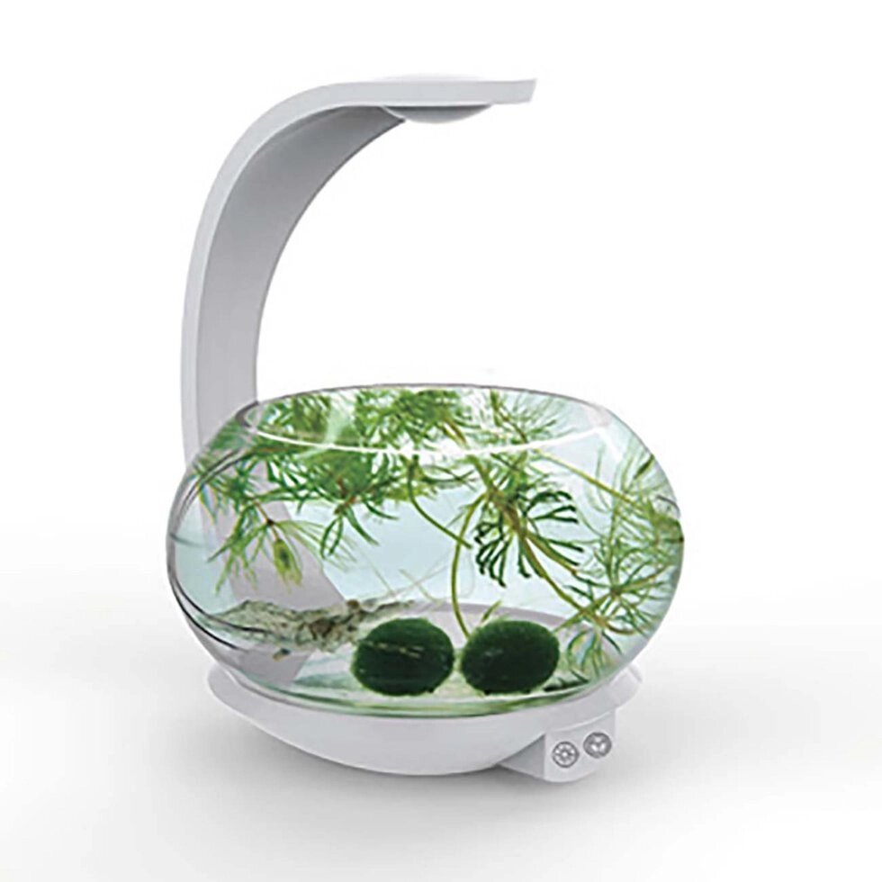 Декоративный фитосветильник для комнатных растений от компании Интернет-магазин "Мадана" - фото 1