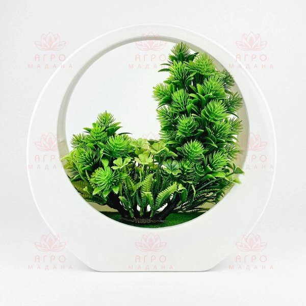 Искусственные цветы суккуленты зеленые от компании Интернет-магазин "Мадана" - фото 1