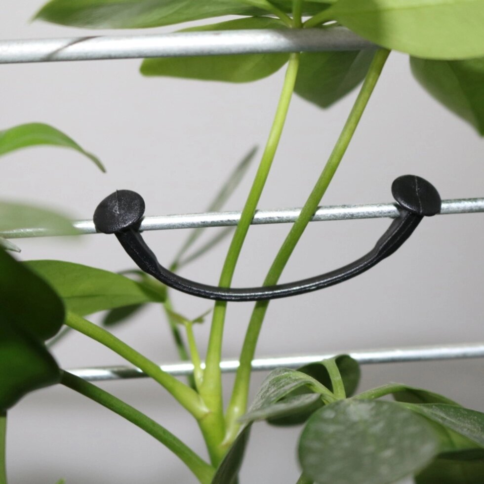 Крючки для подвязки растений 100 шт. от компании Интернет-магазин "Мадана" - фото 1