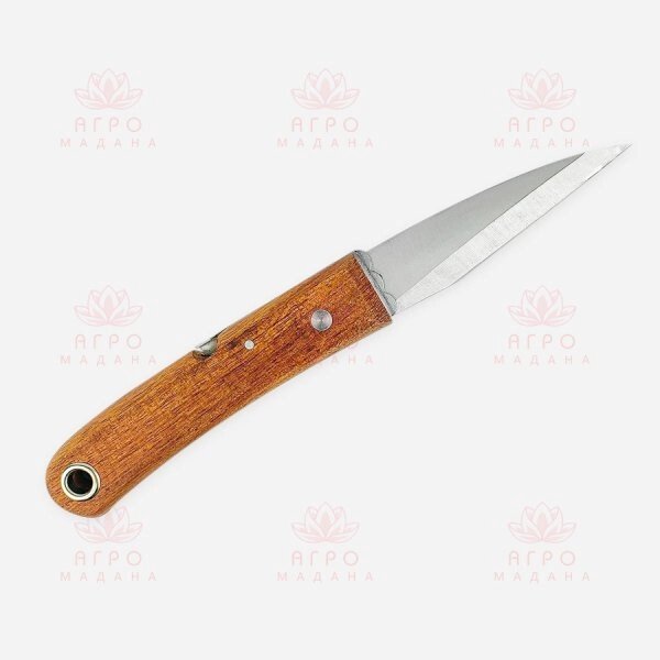 Прививочный нож с деревянной рукояткой mod. 55189, 23см от компании Интернет-магазин "Мадана" - фото 1