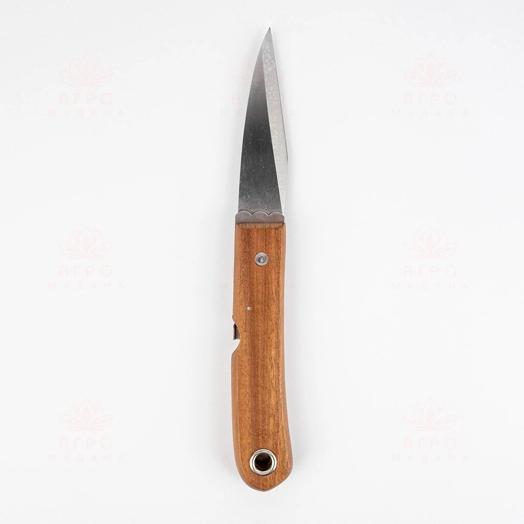 Прививочный нож с деревянной рукояткой, в блистерной упаковке, 24см от компании Интернет-магазин "Мадана" - фото 1