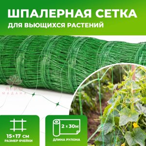 Шпалерная сетка - 2x30м (фасованная)