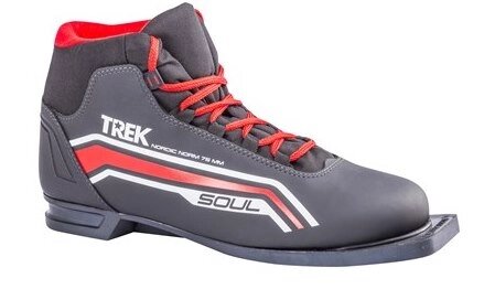 Ботинки лыжные TREK Soul2 75 черный (30)