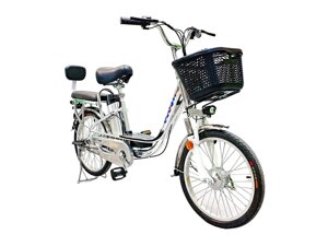 Электровелосипед GreenCamel Транк-20 V2 (серебристый)