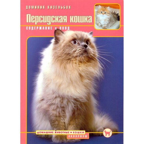 Персидская кошка cодержание и уход Доминик Кизельбах