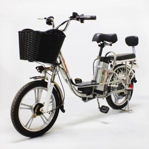 Электровелосипед GreenCamel Транк-18 V2 (серебристый)
