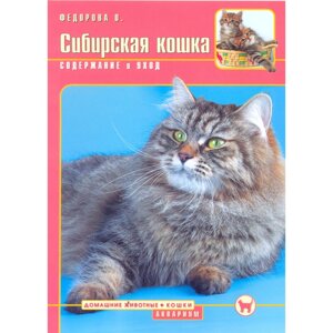 Сибирская кошка cодержание и уход Ольга Федорова