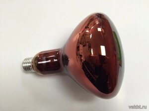 Лампа инфракрасная 250W
