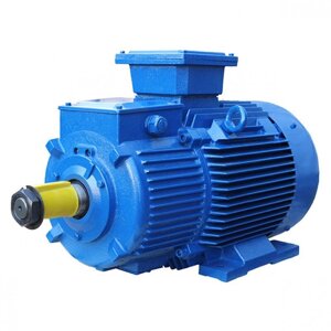 Электродвигатель АО 114-6-6000V 160кВт/1000 об/мин