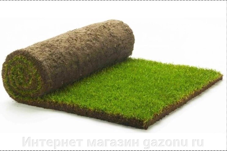 Экономный рулонный газон от компании Интернет магазин gazonu ru - фото 1