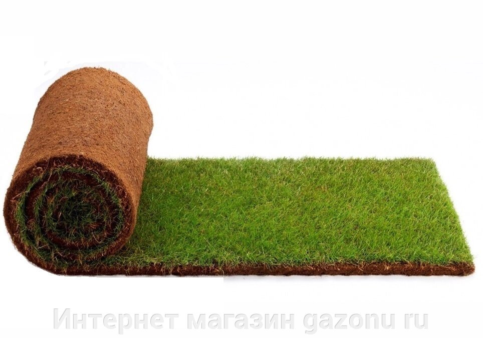 Рулонный газон "Стандарт" от компании Интернет магазин gazonu ru - фото 1