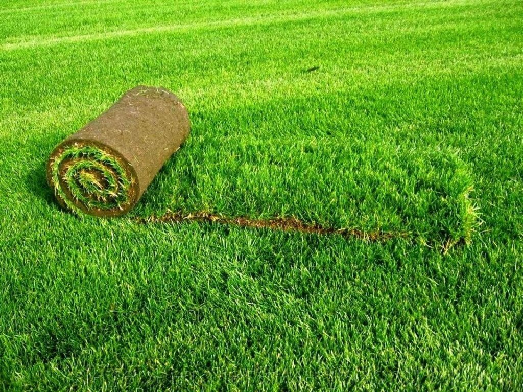 Стандартный рулонный газон от компании Интернет магазин gazonu ru - фото 1