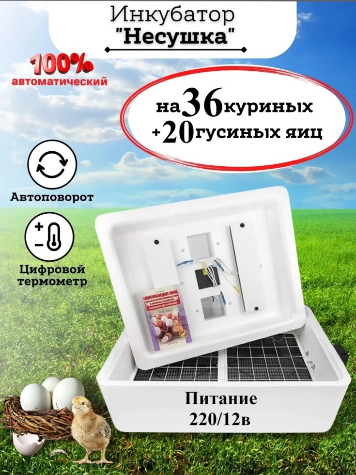 Автоматический Инкубатор (100% автомат) на 36 куриных яиц "Несушка" 220В, автоповорот, цифровой терморегулятор ##от компании## Точка Товара - ##фото## 1