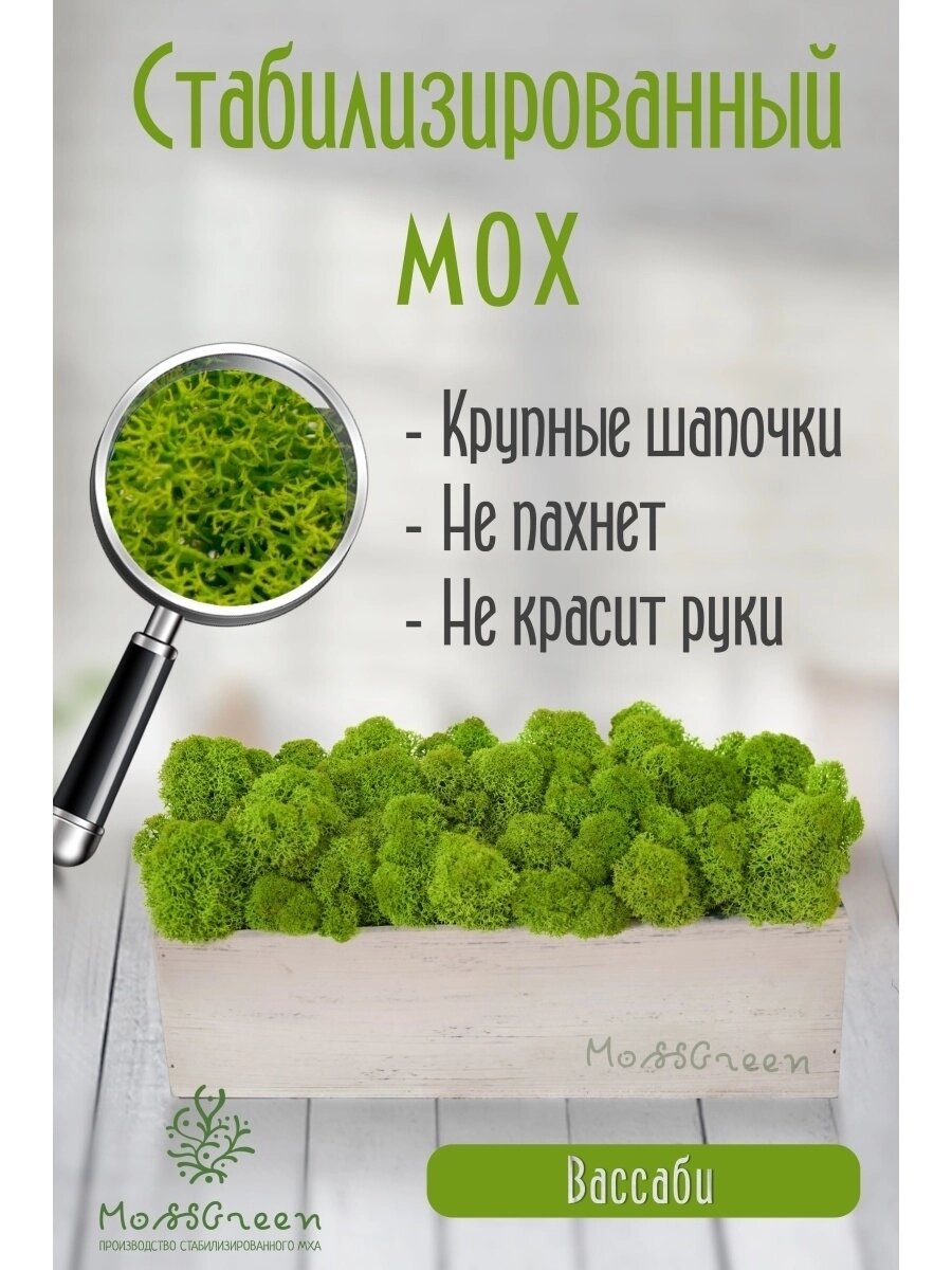 Мох стабилизированный 500 гр/ягеля от компании MossGreen - фото 1