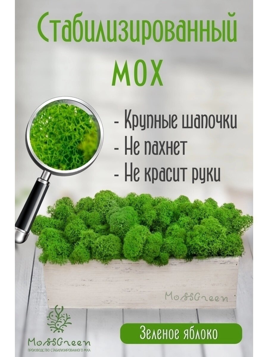 Мох стабилизированный 500 гр/ягеля от компании MossGreen - фото 1