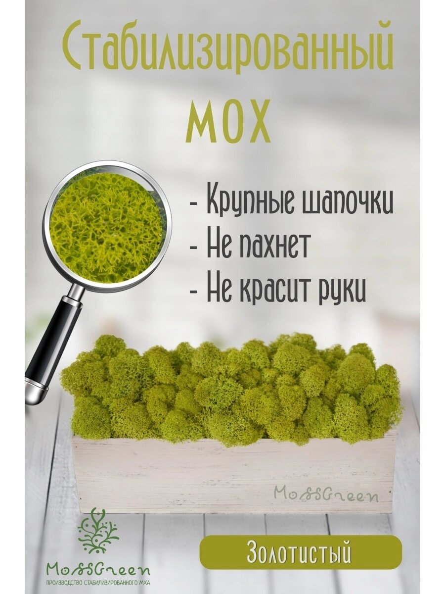 Мох стабилизированный 500 гр/ягеля от компании MossGreen - фото 1