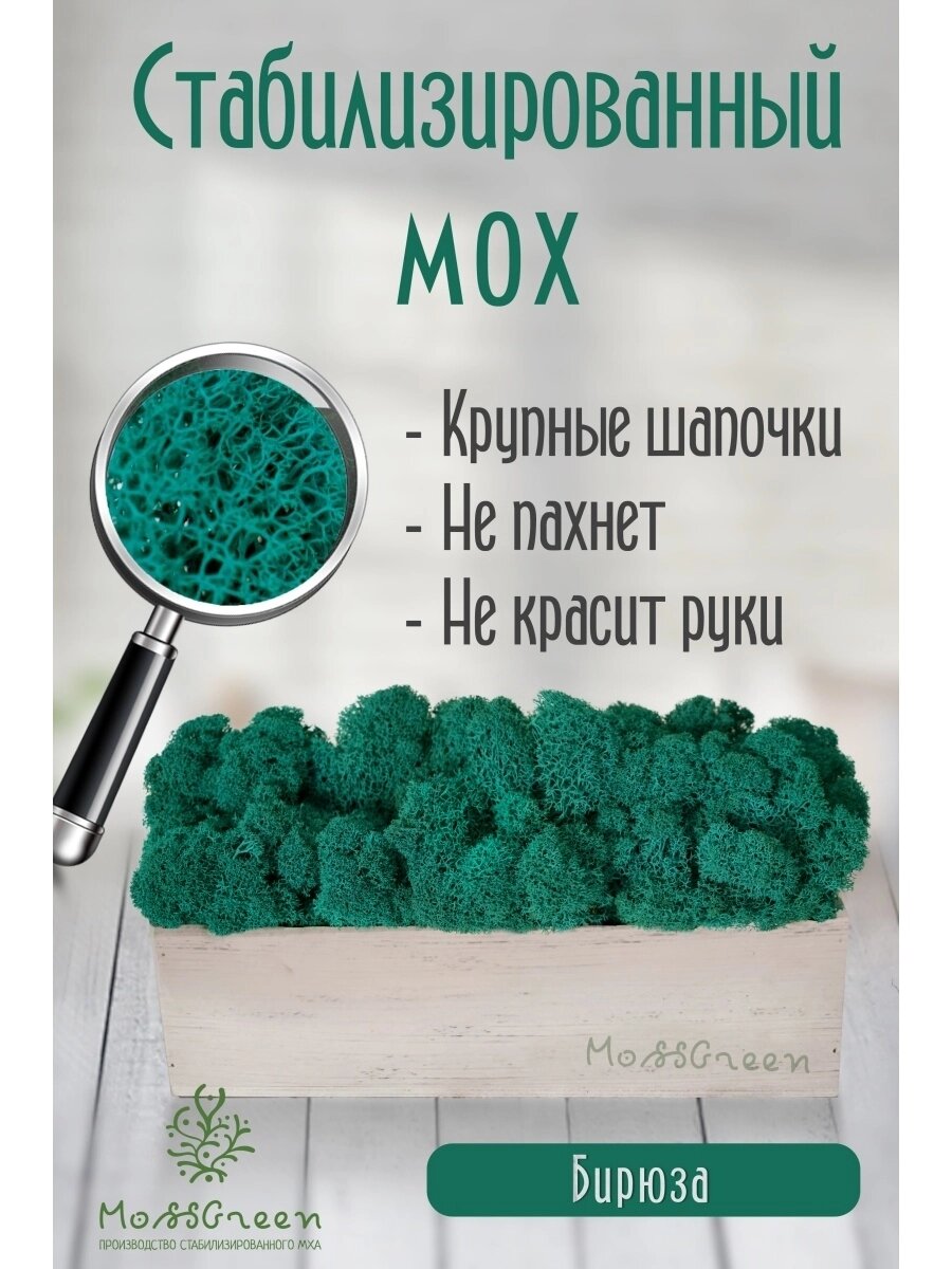 Мох стабилизированный 500 гр/ягеля от компании MossGreen - фото 1