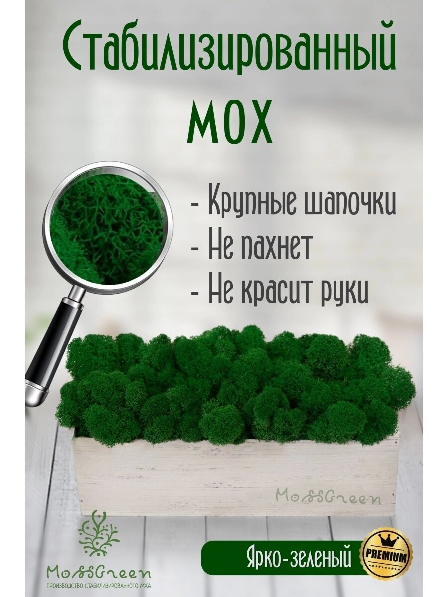 Мох стабилизированный 500 гр/ягеля от компании MossGreen - фото 1