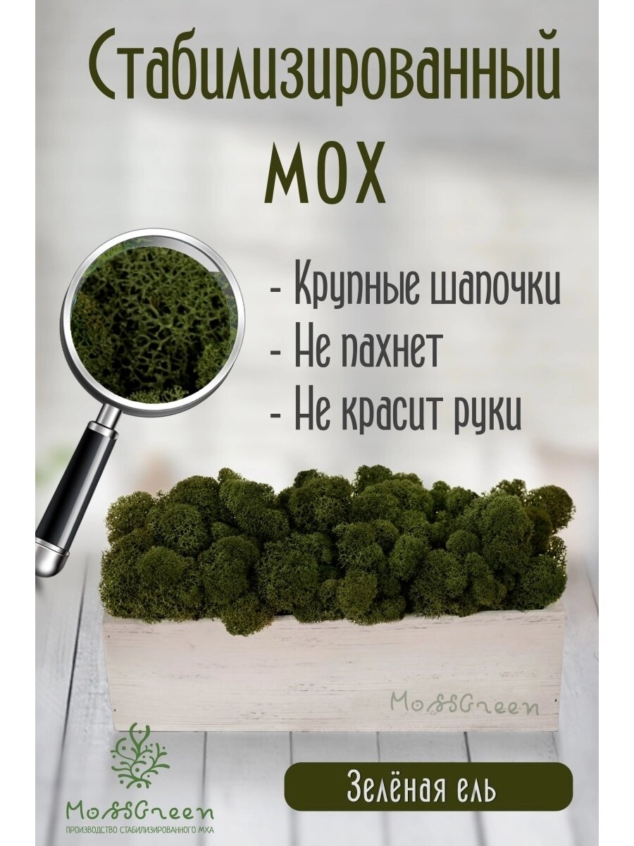 Мох стабилизированный 500 гр/ягеля от компании MossGreen - фото 1