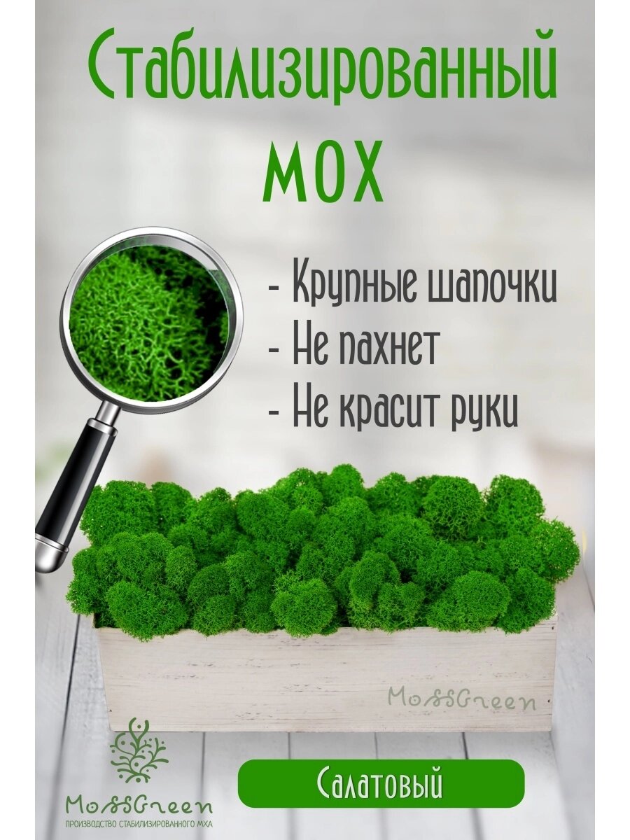 Мох стабилизированный 500 гр/ягеля от компании MossGreen - фото 1