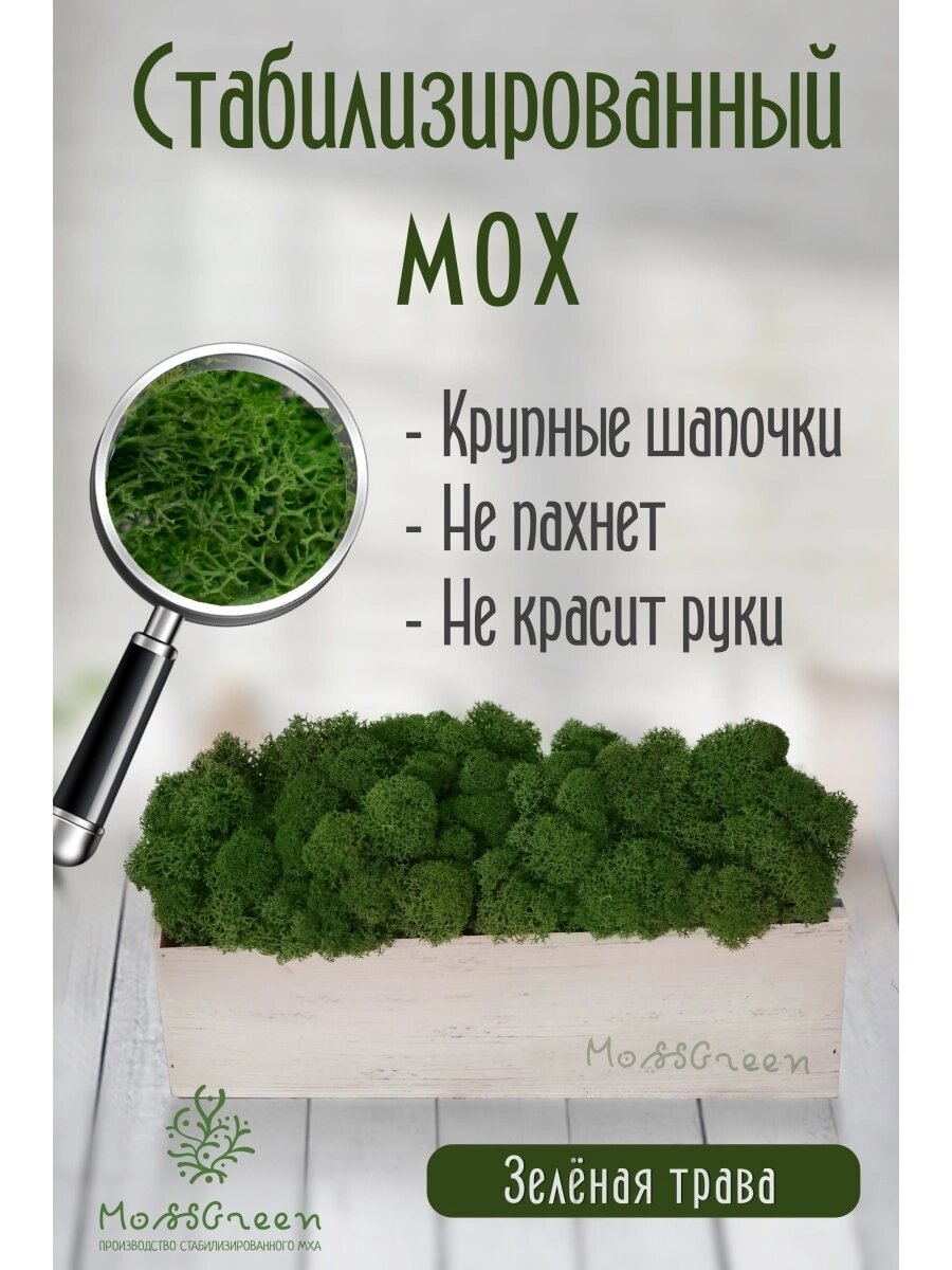 Мох стабилизированный 500 гр/ягеля от компании MossGreen - фото 1