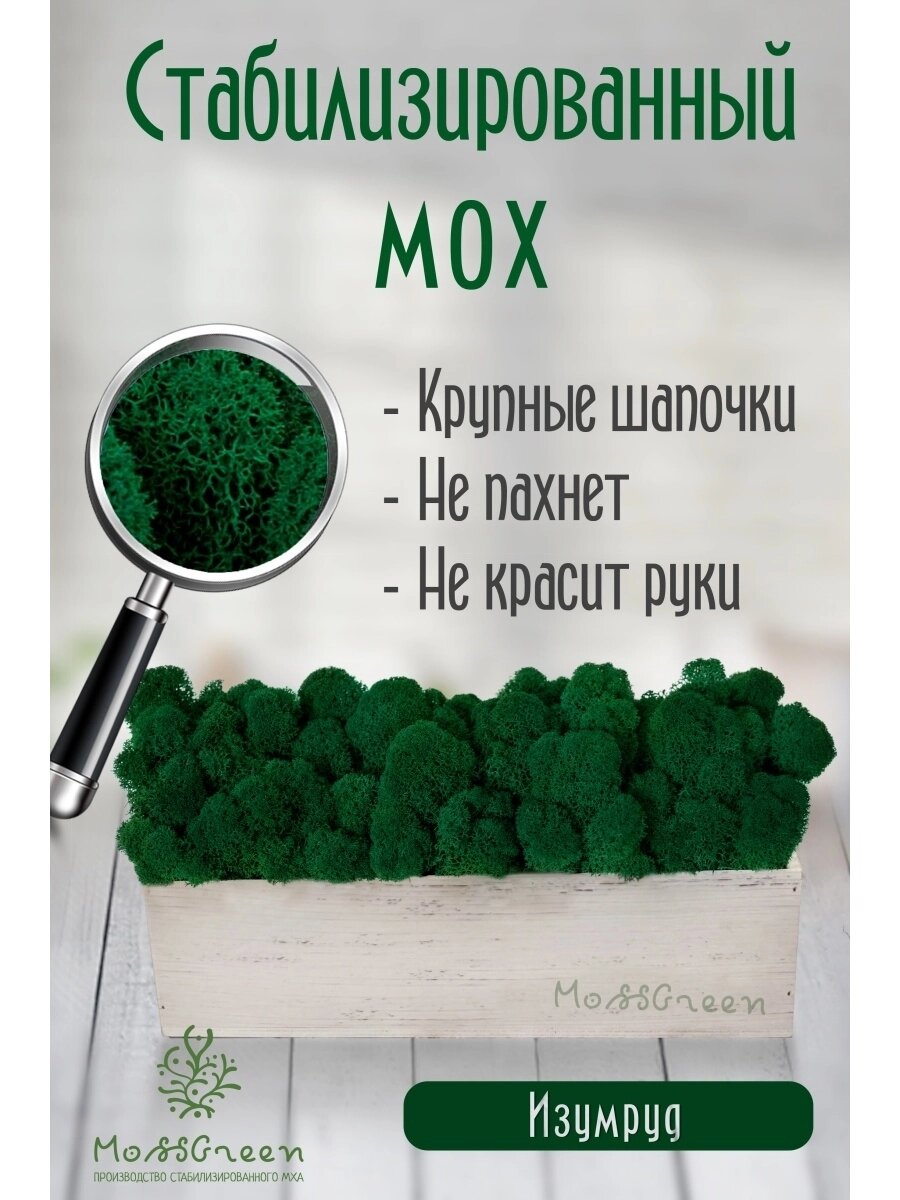 Мох стабилизированный 500 гр/ягеля от компании MossGreen - фото 1