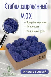 Мох стабилизированный/ягель (100 гр) Цвет - фиолетовый