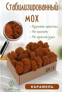 Мох стабилизированный/ягель (100 гр) Цвет - карамель