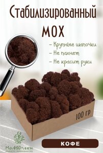 Мох стабилизированный/ягель (100 гр) Цвет - кофе