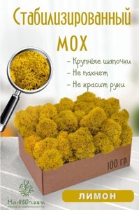 Мох стабилизированный/ягель (100 гр) Цвет - лимон