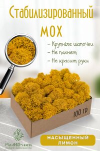 Мох стабилизированный/ягель (100 гр) Цвет - насыщенный лимон