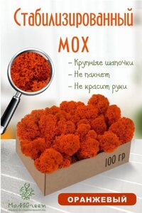 Мох стабилизированный/ягель (100 гр) Цвет - оранжевый