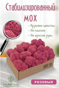 Мох стабилизированный/ягель (100 гр) Цвет - розовый