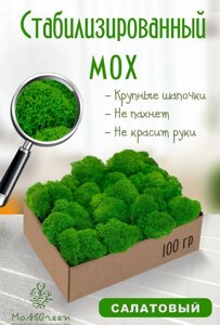 Мох стабилизированный/ягель (100 гр) Цвет - салатовый