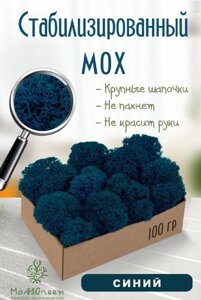 Мох стабилизированный/ягель (100 гр) Цвет - синий