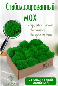 Мох стабилизированный/ягель (100 гр) Цвет - стандартный зеленый