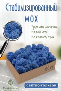 Мох стабилизированный/ягель (100 гр) Цвет - светло-голубой