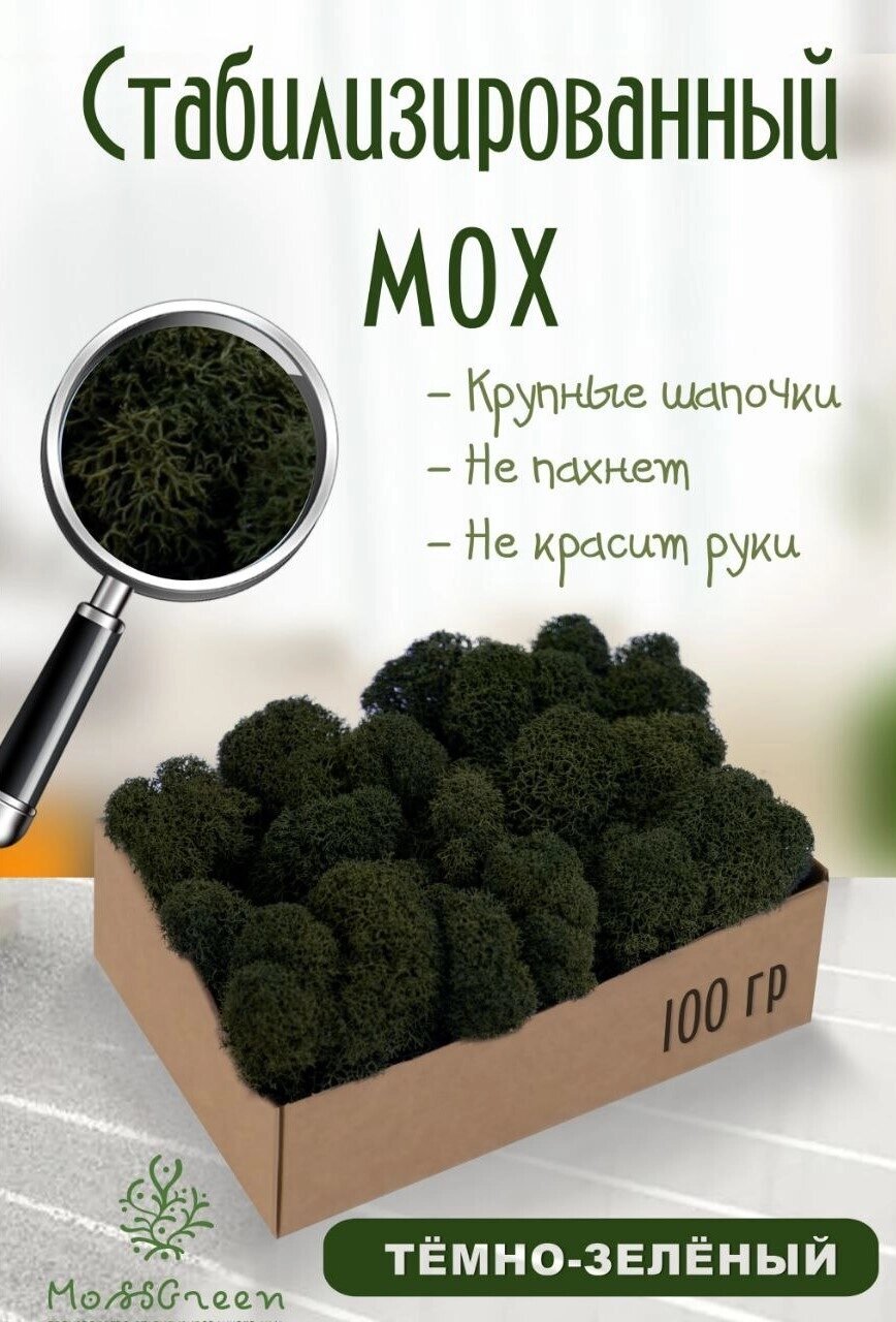 Мох стабилизированный/ягель (100 гр) Цвет - темно-зеленый от компании MossGreen - фото 1