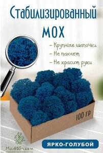 Мох стабилизированный/ягель (100 гр) Цвет - ярко-голубой