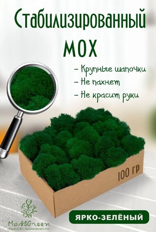 Мох стабилизированный/ягель (100 гр) Цвет - ярко-зеленый от компании MossGreen - фото 1