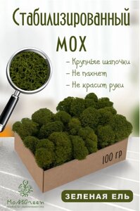 Мох стабилизированный/ягель (100 гр) Цвет - зеленая ель