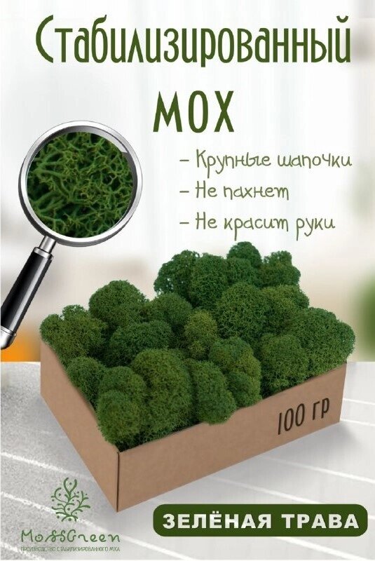 Мох стабилизированный/ягель (100 гр) Цвет - зеленая трава от компании MossGreen - фото 1