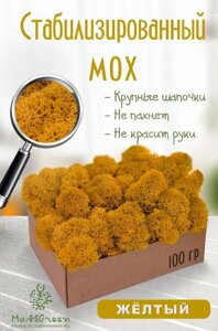 Мох стабилизированный/ягель (100 гр) Цвет - желтый
