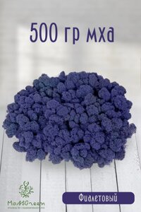 Мох стабилизированный/ягель (500 гр) Цвет - фиолетовый