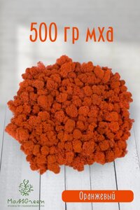 Мох стабилизированный/ягель (500 гр) Цвет - оранжевый
